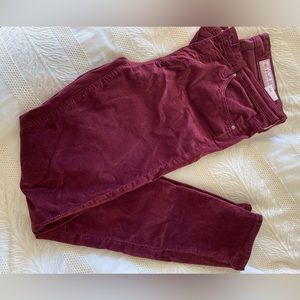 Anthropologie Maroon velvet pants